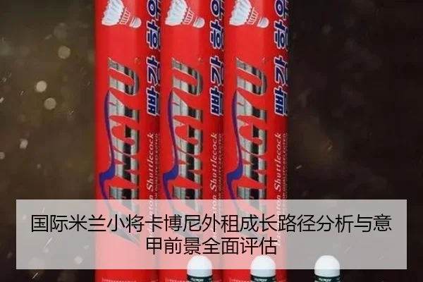 国际米兰小将卡博尼外租成长路径分析与意甲前景全面评估